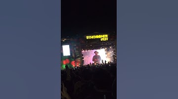 Last Child at Synchronize Fest