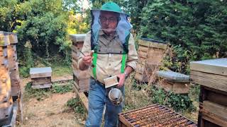 Give your honey bees a helping hand by adding holes to brood frames