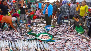 Amazing countryside food tour, Cambodian morning food markets