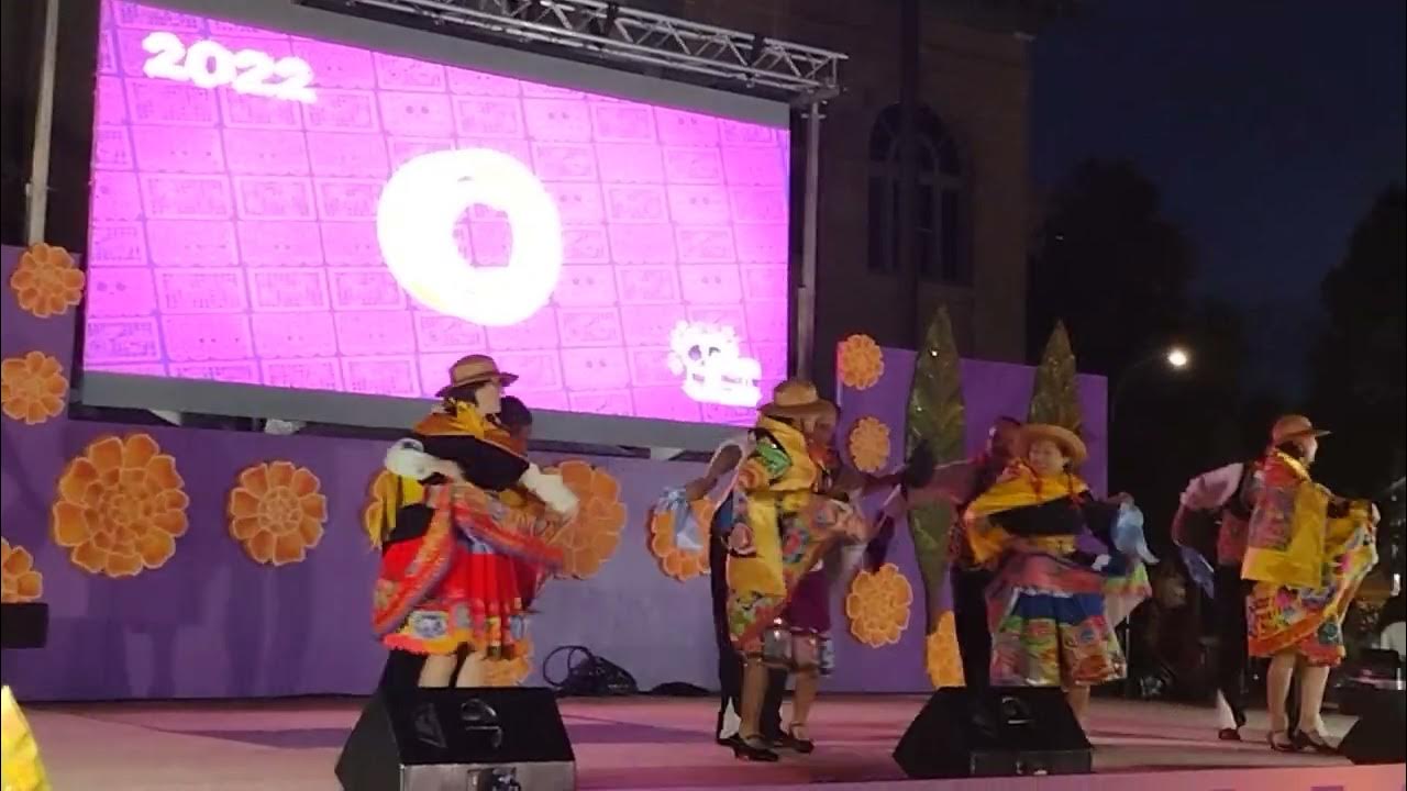 Dia de Los Muertos Festival , Redwood City,California, clip 6, Nov 6