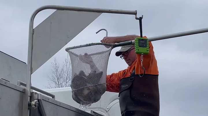 Moonshine Lake Trout Stocking