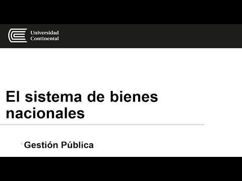 El sistema de bienes nacionales