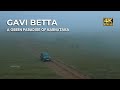 Gavi betta  a green paradise near madikeri  karnataka  vlog70