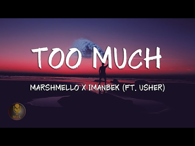 Marshmello x Imanbek (Ft. Usher) - Too Much (Lyrics) class=