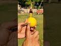 Double Swing Bowling tips 🏏 #cricket #bowling #shorts fast bowling #shortsfeed #sports #video