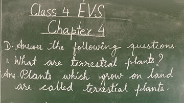 DAV CLASS 4 SCIENCE | CHAPTER 4 QUESTION ANSWER VIDEO
