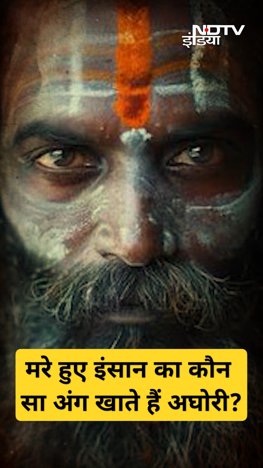 Maha Kumbh 2025: क्या अघोरी साधु मरे हुए इंसानों के मांस का सेवन करते हैं? | Aghori | Sangam