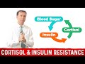 Cortisol Resistance & Insulin Resistance: Explained!