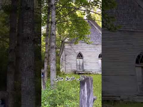 عين جديدة على حياة قديمه