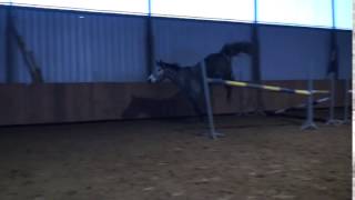 Mare 5 Yo