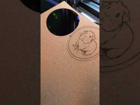 H2D first Laser