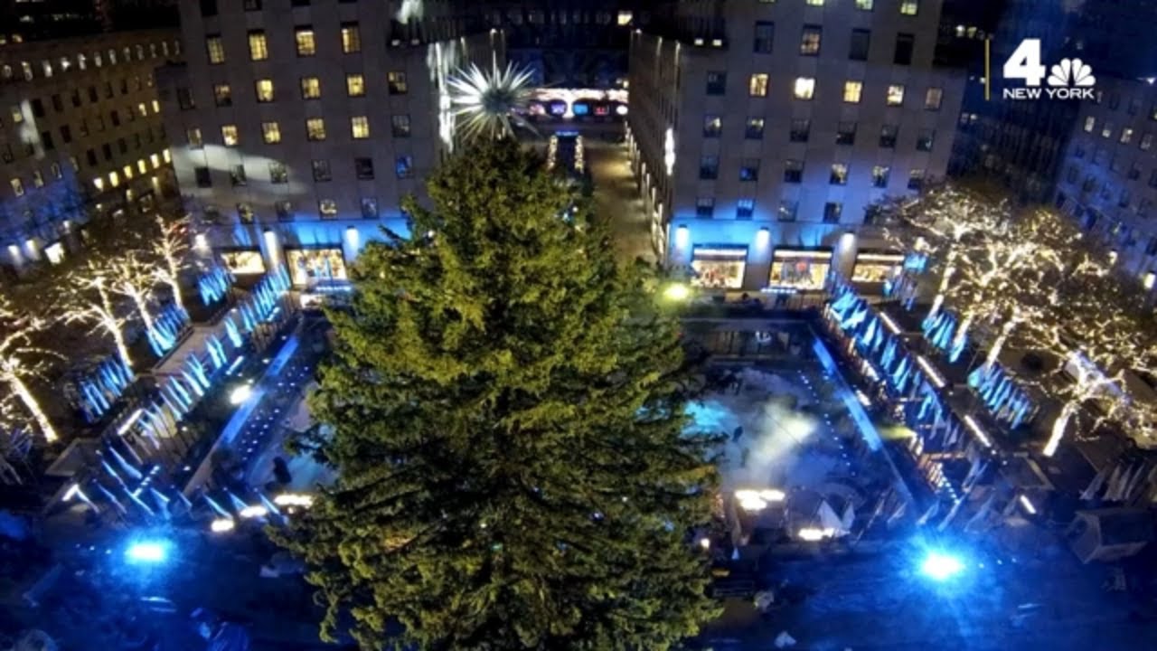 Ryan Serhant Shows Off Beautiful Christmas Tree: Photo