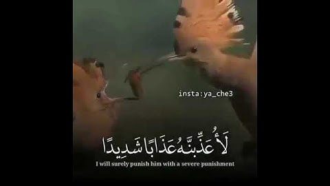سورة النمل, آية ٢١. ٢٢