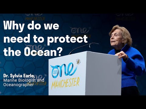 Unveiling the importance of our ocean I Dr Sylvia Earle - YouTube