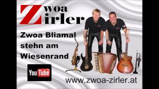 Zwoa Bliamal stehn am Wiesenrand chords