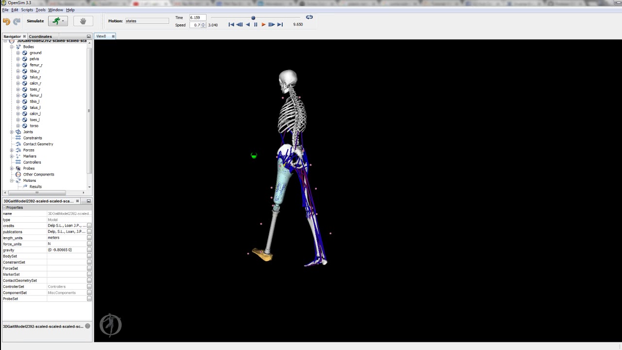 Opensim Software Tutorials Practica OpenSim, Biomecánica - YouTube