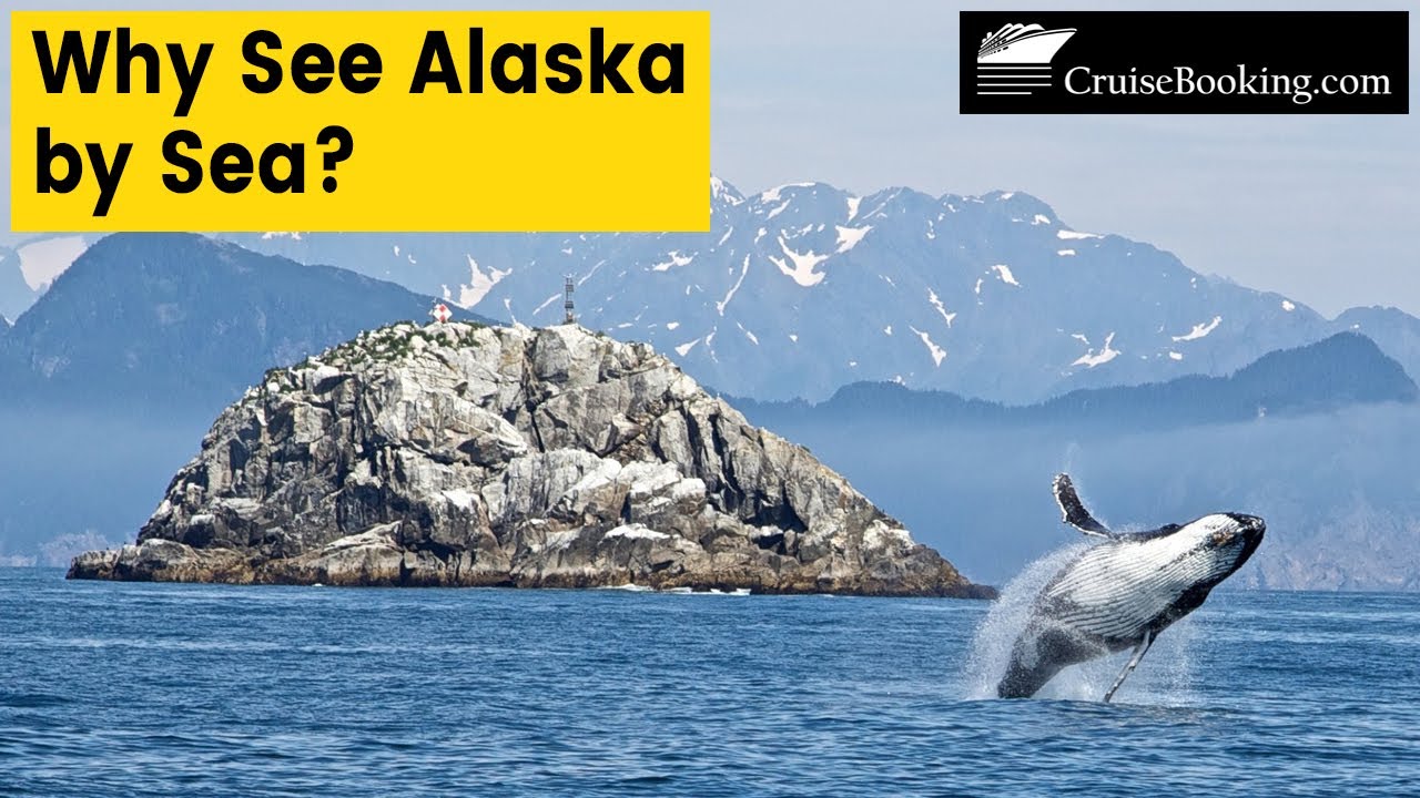 8 Amazing Reasons to Explore Alaska by Sea | CruiseBooking.com| #alaska
