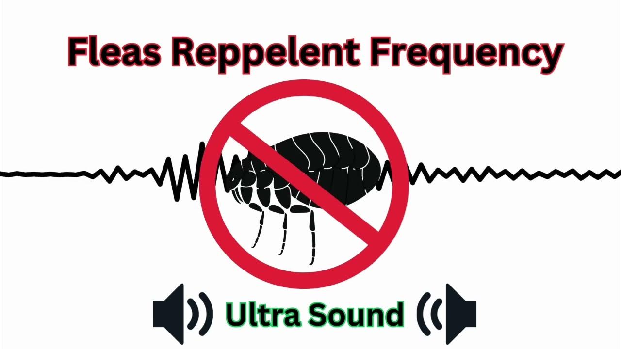Fleas Repellent Sounds Frequency Anti fleas tone Ultra sonic YouTube