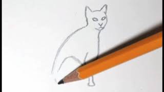 How to Draw a Cat In 5 EASY Steps - GREAT for Kids & Beginners