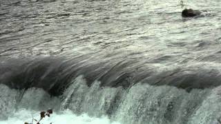 Qing Ming Yu Shang.wmv