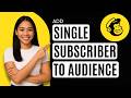 How to Add Single Subscribed Contact to Audience in Mailchimp [Quick Guide]