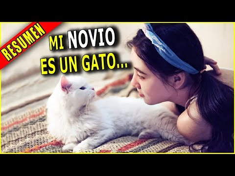 Video: Su gato realmente le gusta pasar tiempo con usted!