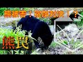 【熊罠】熊被害！宿敵ツキノワグマとの対決！？