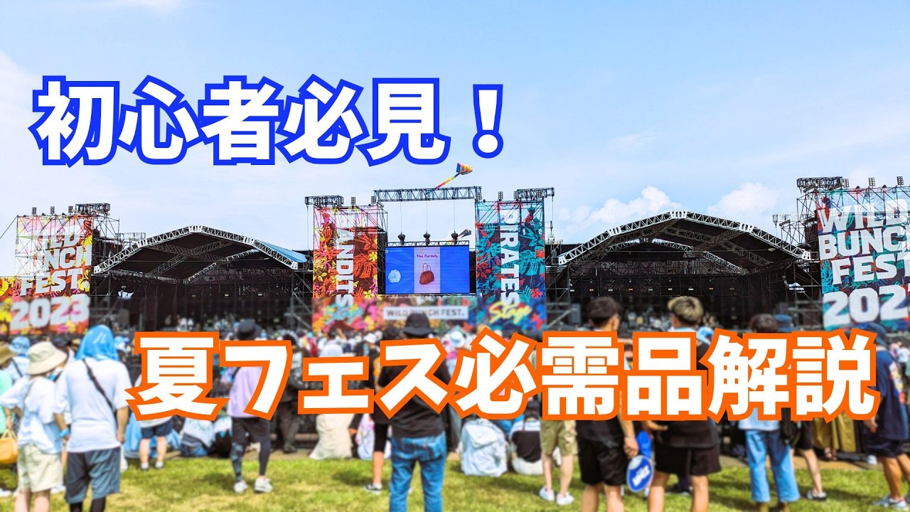 WILD BUNCH FEST.2023 DAY2 感想 ライブレポート ワイバン 夏フェス 