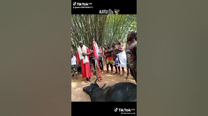 I do money ritual for people without using human blood +2348026571864