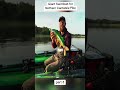 Giant Swimbait Test for Northern Pike
