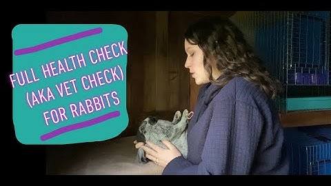 How To: Full Health Check (AKA Vet Check) for Rabbits