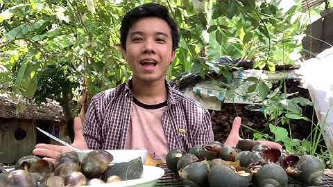 Ốc Bươu Nướng Tiêu Cay Thơm Ngon