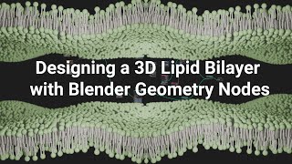 Designing a 3D Lipid Bilayer with Blender Geometry Nodes