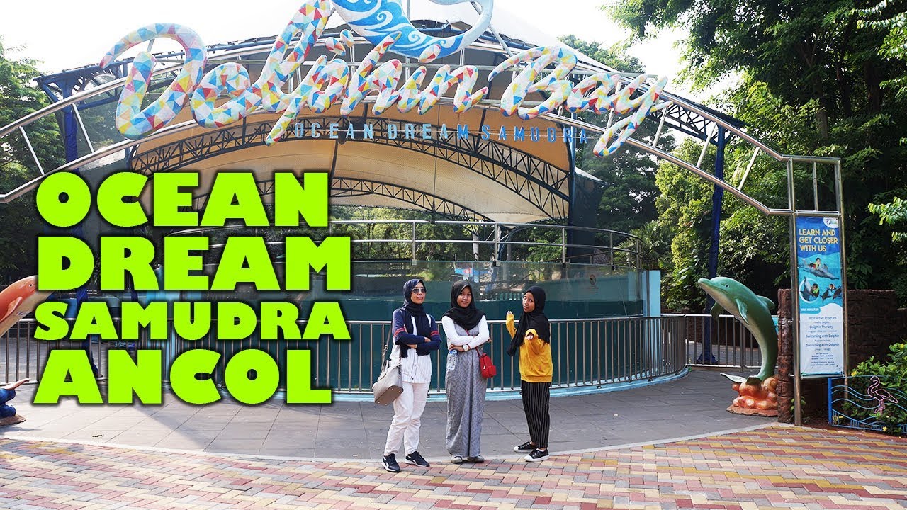 Gelanggang Samudra Ocean Dream Ancol YouTube