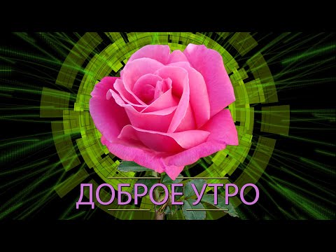 ✅Доброе утро!✅