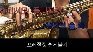 플레절렛 /알티시모/초고음/쉽게내는 방법 #15