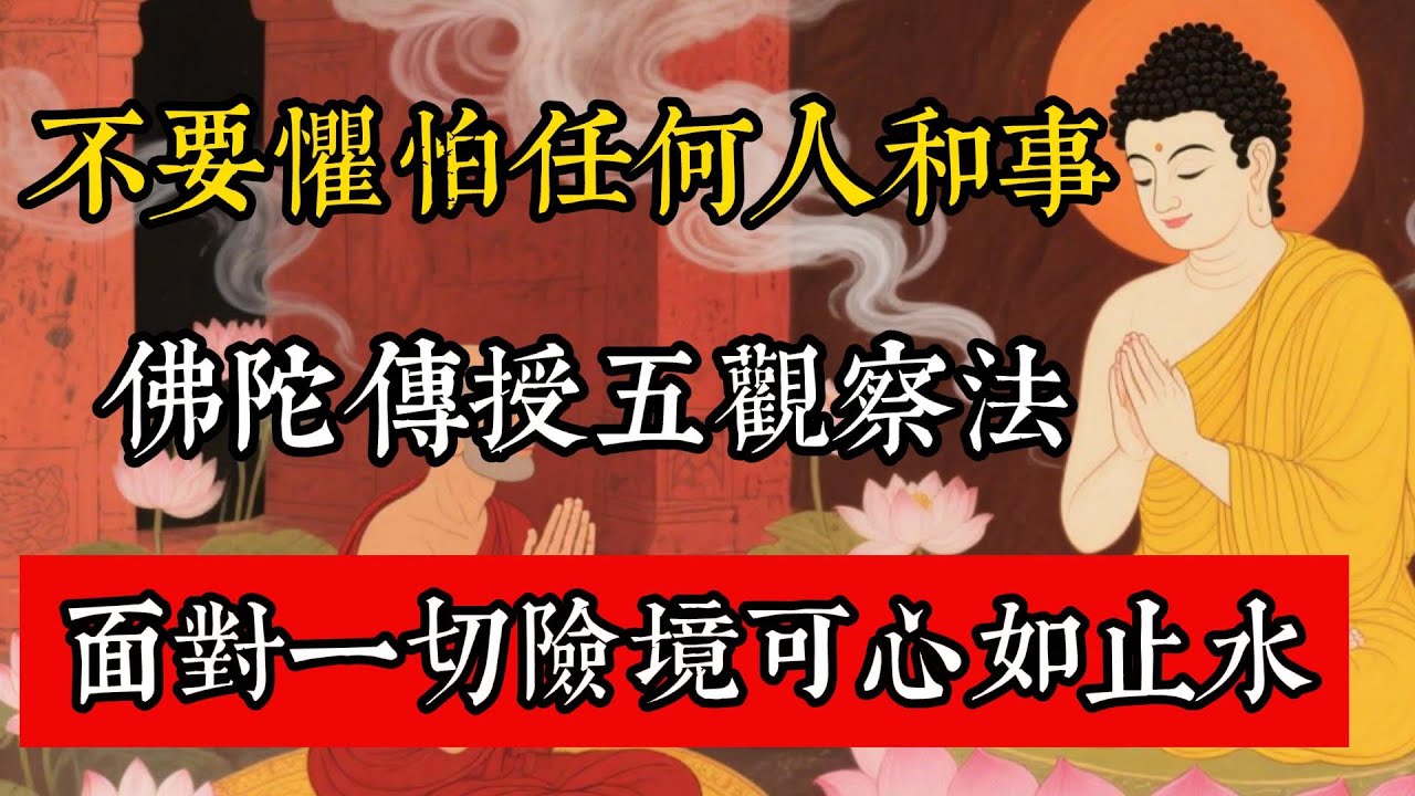 不要懼怕任何人和事，佛陀傳授五觀察法，面對一切險境可心如止水！#佛教 #佛家 #佛法 #佛學知識 #佛學智慧 #修心修行 #佛教文化 #禪悟人生 #傳統文化