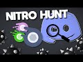 The Discord Nitro Hunt Competition