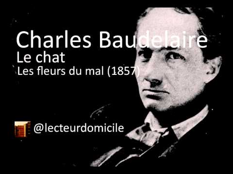 Le chat de Charles Baudelaire - YouTube