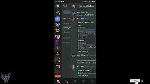 2020 New Live stream Alert Bot tutorial for discord server #BLUETEAM #discord  #stream #alert #bot