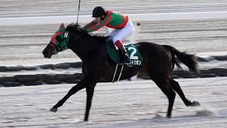 2026 Newcomer Race] JRA Certified Fresh Challenge 2-Year-Old