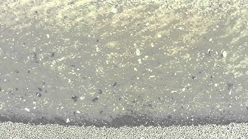 Example of a stream carrying a dissolved, suspended, and bed load.