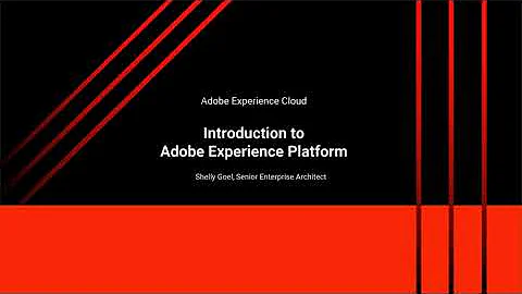 Adobe Experience Platform Overview