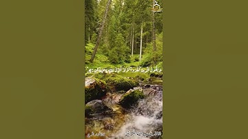تلاوة للقارئ عبدالله سلمان الخريش