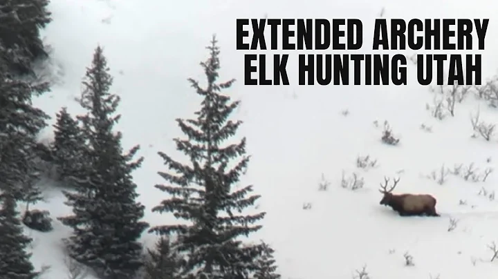 EXTENDED ARCHERY ELK HUNTING UTAH | LATE SEASON | PUBLIC LAND