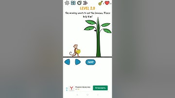 Brain Quiz-Test Your Brain. Level 2.0-2.9. Walkthrough