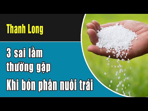 Video: Vấn đề về Thanh long - Tìm hiểu Về các Vấn đề Thường gặp với Cây Pitaya