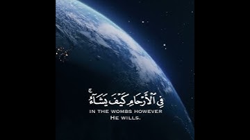 تلاوة هادئة وقصيرة  || القارئ : عبد الرحمن مسعد || سورة : ال عمران  🌷💚🌷