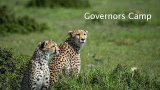 Kenyan Adventure Ep36 - Governors Camp Masai Mara