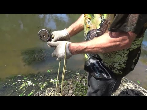 Видео: Дал Деду покидать Поисковый магнит